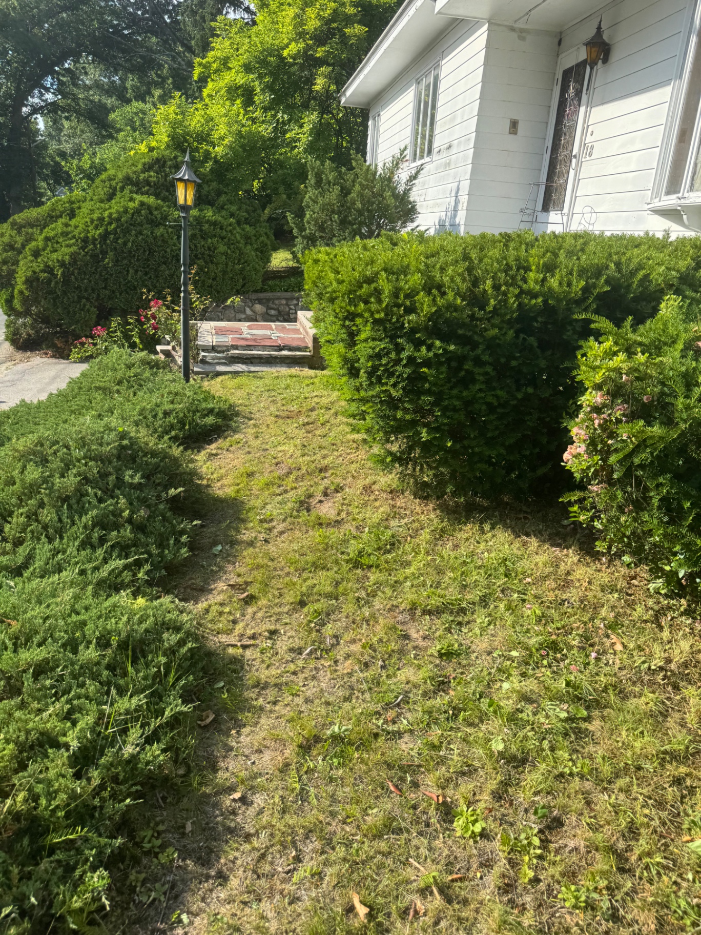 Front walkway with shaped hedges, flower bushes and lamp post