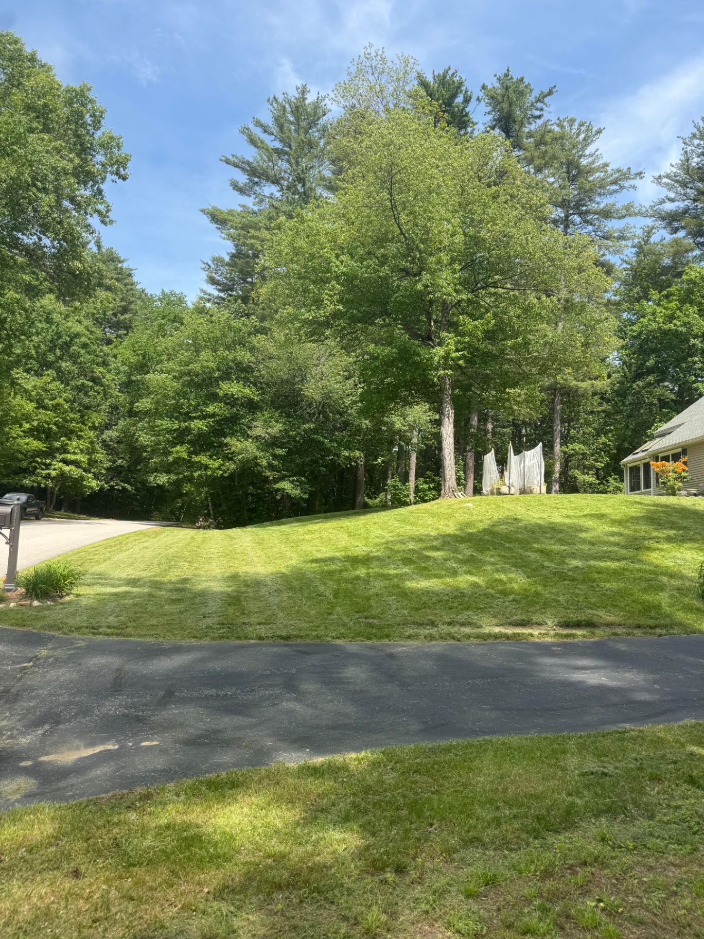 Manicured hillside lawn with clean stripes