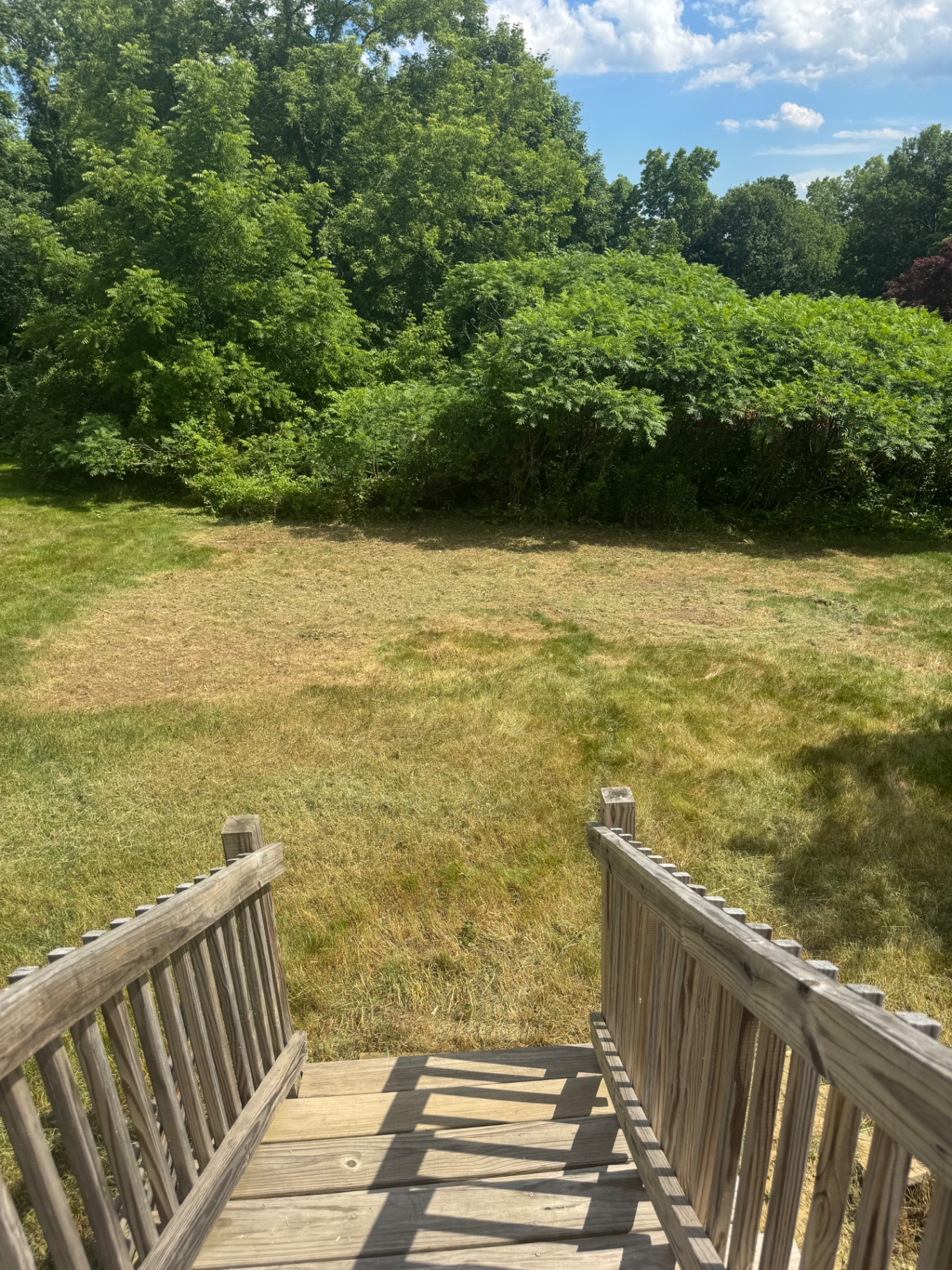 Same backyard cleanly mowed down to grass after Apex Grounds service