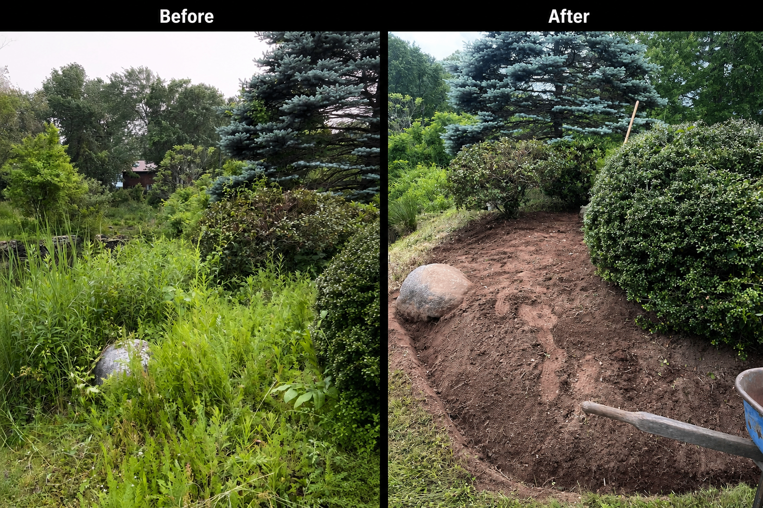 Before and after garden bed cleanup — overgrown brush cleared and soil prepped